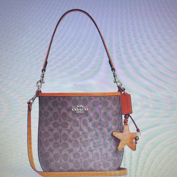 🍊 Coach City Bucket Bag Signature Canvas  Orange and Tan - Picture 1 of 5